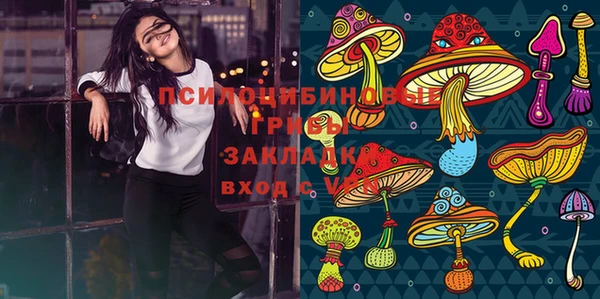 гидропоника Кодинск