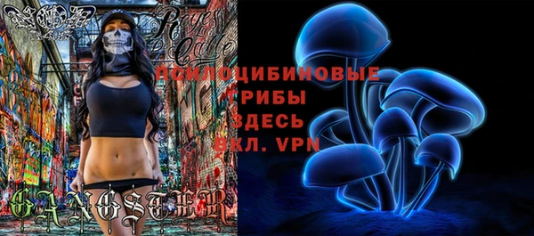 гидропоника Кодинск