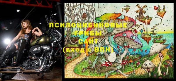 ALPHA PVP Козловка