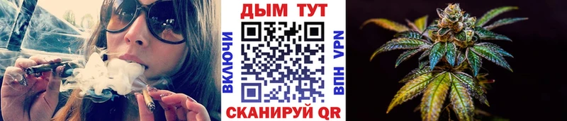 Купить закладки  Южноуральск  Канабис VHQ 
